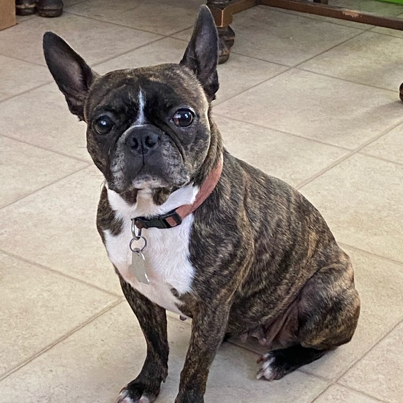 Meet your Posher, Kate - Picture 14 of 16